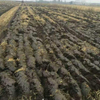 Paddy Land Driven Disc Plough 